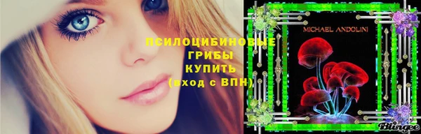 твердый Горно-Алтайск