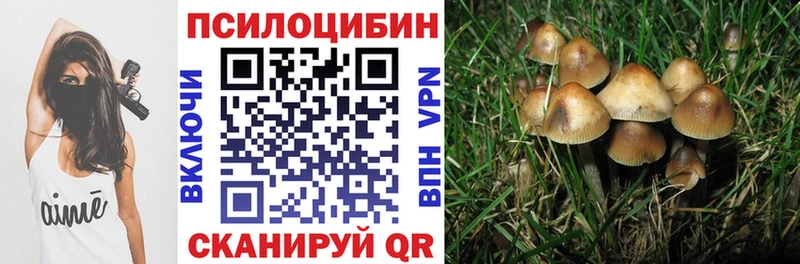 Псилоцибиновые грибы Psilocybine cubensis  Купить где  Темрюк 